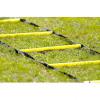 Koordincis ltra 2m 2m Ladder