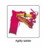 Masita koordincis ltra Agility Ladder