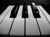 Black&white on black&white (gallmese) Tags: blackandwhite bw macro blancoynegro closeup piano schwarzweiss bianconero rhizome blueribbonwinner fekete fehr zongora asymmetrya feketefehr bwphoto