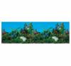Akvrium poszter 50 x 120 cm