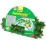 Tetra ReptoDecoArt Vine Philodendron terrriumi mnvny