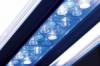 LED vilgts nvnyes akvrium tropica vizinvny rendels tropica substrate akvrium szrs tengeri akvrium akvrium rendels akvrium led ledes vilgts t5 vilgts HQI ada sera akvakertsz trop