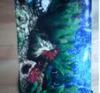 2 db AKVRIUM ELAD 72 liter 194 liter 38x63x30 cm 72 literes aljn repedt 15 cm es rszen mregdrga akvrium ragaszt