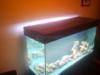 Elad j wenge szn btorlapbl kszlt akvrium tet Mret 120cm X 40cm r 9 000 rd 703814111 dv Balzs