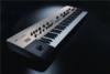A KingKORG a rgen vrt teljes rtk analg modellez szintetiztor Magban hordozza a klasszikus Korg analg szintetiztorok mint pldul az MS 20 s a Prophecy a Z1 az MS2000