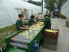 Album Grgs vlogat asztal