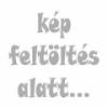 Esotec Napelemes kerti fnyforrs Napelemes lmpa Sunnylight102093 LED max 12 ra Nemesacl Fixen beptett LED es