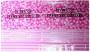 Asztaltert Boldog Szletsnapot pink 130x180cm OFUN035