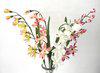 ORCHIDEA 6 VIRGOS 62 CM VEGYESEN RENDELHET 24 darab karton 4 darab tl rendelhet