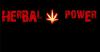 Fstl herbal mix biof fstl pot pourri herbl legl smoke herbal diamond smoke jamaican gold herbal spice extreme spice gold fstl