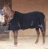 Barefoot Horse Therme specilis melegt takar