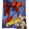 Polr pld Disney Spiderman 5 160 Ft