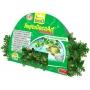 Tetra ReptoDecoArt Vine Philodendron - terrriumi mnvny