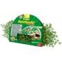 Tetra ReptoDecoArt Giant Adiantum terrriumi mnvny