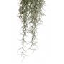 EXO TERRA mnvny PT3092 cabello large szrke