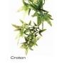 EXO TERRA mnvny PT3000 croton small
