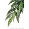 Mnvny terrriumba kzepes rucus