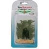 Tetra mnvny eltri 1 A Green Cabomba 5 cm