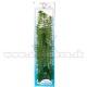 Cabomba caroliniana Green Cabomba mnvny Tetra 46 cm