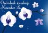 Csak jszaka virgzik a most felfedezett orchidea