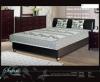 Safari extra rugs franciagy
