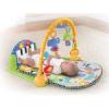 Fisher Price Discover grow jtszsznyeg