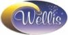 Wellis Notte zuhanypanel