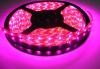 300 SMD LED beltri flex LED-szalag 5m, pink