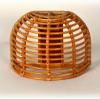Rattan falikar