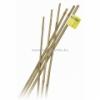 Bambusz rd 10 db 60 cm natur 6 8 mm