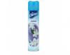CHIRTON LGFRISST JZMIN 300ML