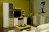 Nexus elemes btor