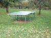 Pingpong asztal kltri kettler