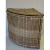 22 005M rattan btorok szennyestart