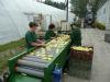 Album Grgs vlogat asztal