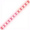LED csk ntapads PIROS 5cm 12V