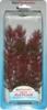 Tetra Red Foxtail 2 mnvny