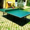Kltri fixen telepthet pingpong asztal