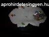 Herendi hamutart