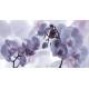 Unicer Decor Fiore Lila 27x50 dekor csempe