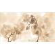 Unicer Decor Fiore Tierra 27x50 dekor csempe