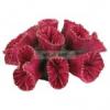 TRIXIE akvrium dsz 4 fle korall 10 13 cm