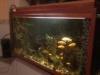 360 literes akvrium