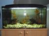 120L es akvrium btorral elad