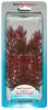 Mnvny akvriumba tetra Red Foxtail 1 es mret 11 15 cm