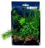 Hobby akvriumi mnvny Flora Root 2 S porlaszts