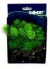 Hobby akvriumi mnvny Flora Root 3 S porlaszts