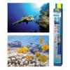 Tetra DecoArt Poster Turtle Reef akvriumi poszter