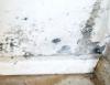 A fehr szn CWC Cold Wall Coating hszigetel festk olyan hhidas falfelletek feljt festke melyeken pralecsapds s penszkpzds tapasztalhat A bevonat hszigetel tulajdonsga rvn kpe