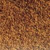 Prna kleshj utntlt 0 5 kg 0 5 kg Kleshj kles pelyvja Prna utntltshez vagy teljes bels cserjhez